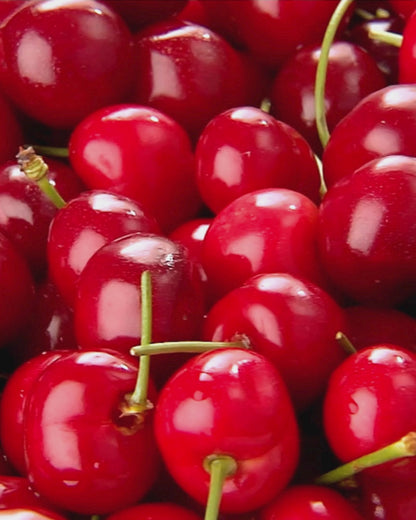 Oil Soluble Cherry Flavouring | Premium, 2-Fold & Pro Potencies